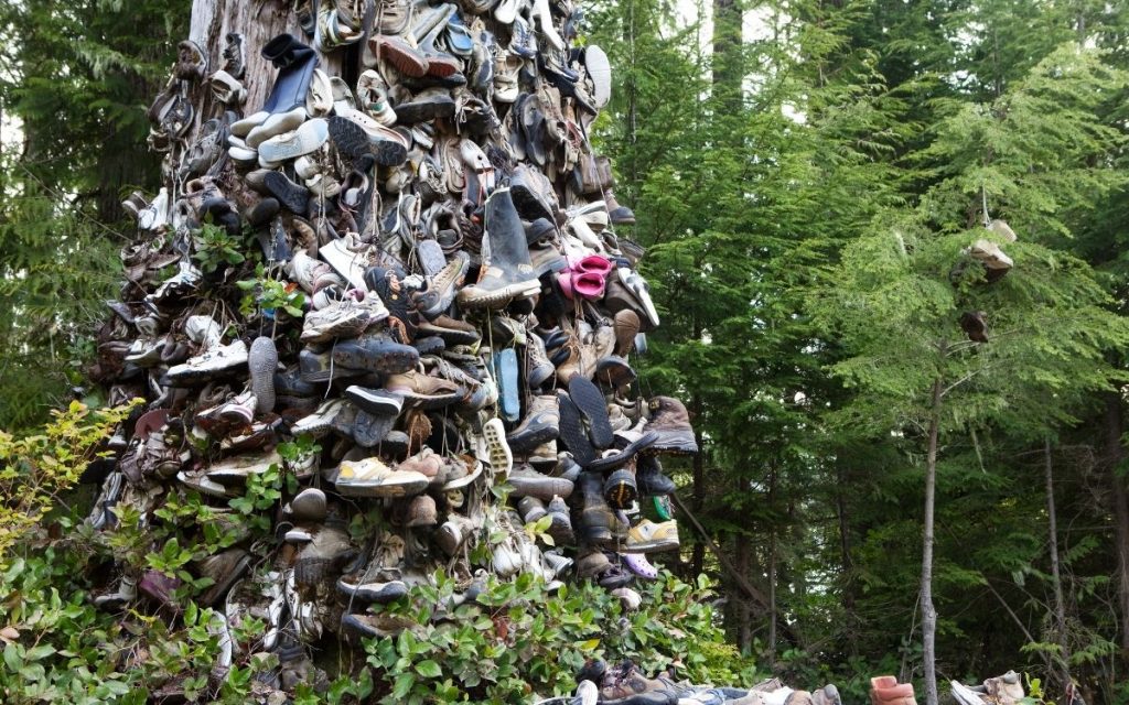 massive tree trunk covered in tons of old worn out sneakers and shoes