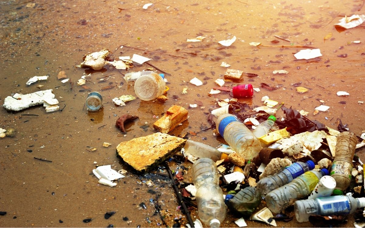 plastic bottles amongst other trash wased up on a beach