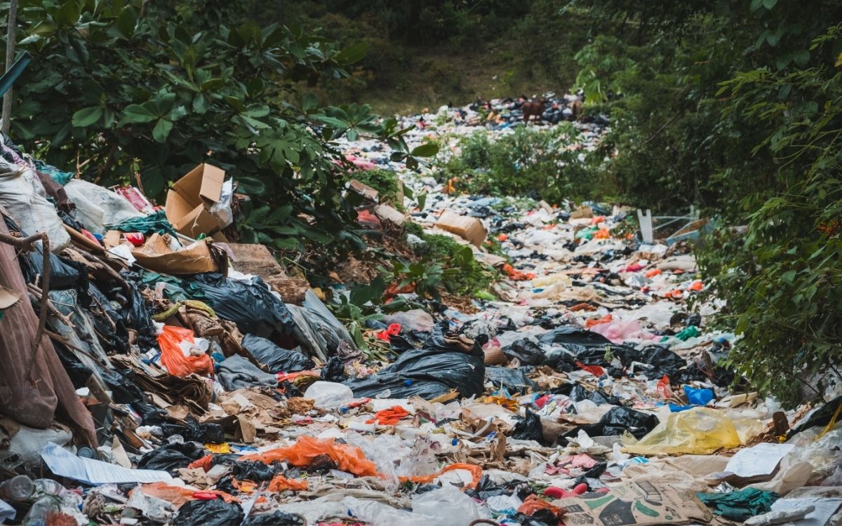 Why is SingleUse Plastic Bad for the Environment? Better Inhabitants